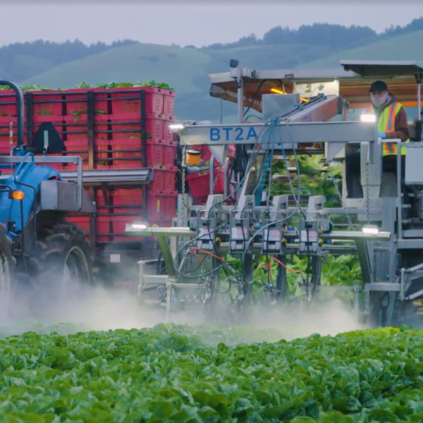 The Automated Farm Taylor Farms Foodservice