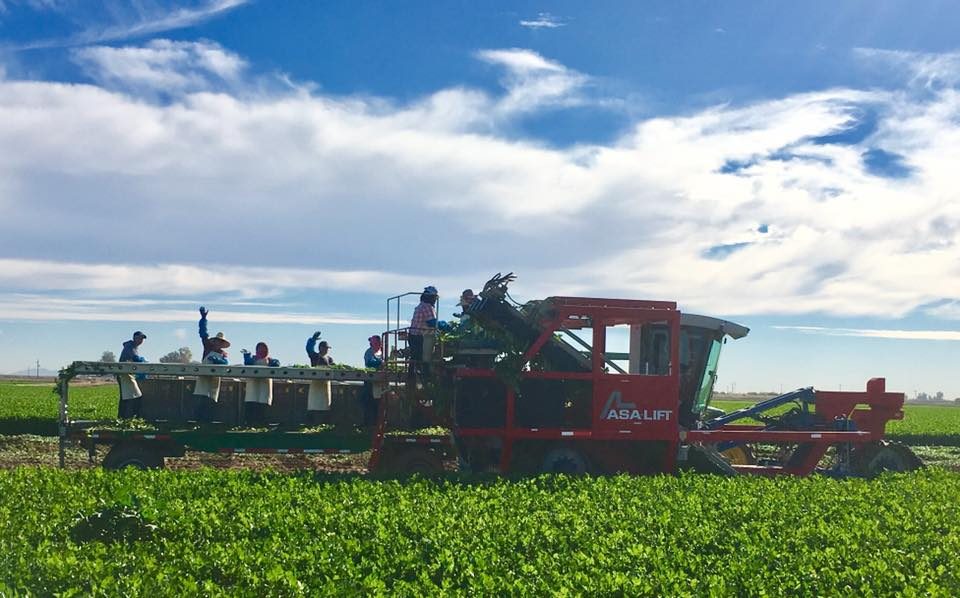 Taylor Farms Partners With Labor Of Love To Surprise Crews In Yuma Taylor Farms Foodservice