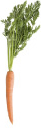 Carrots