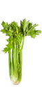 Celery