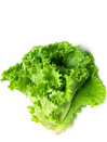 Green Leaf