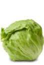 Iceberg